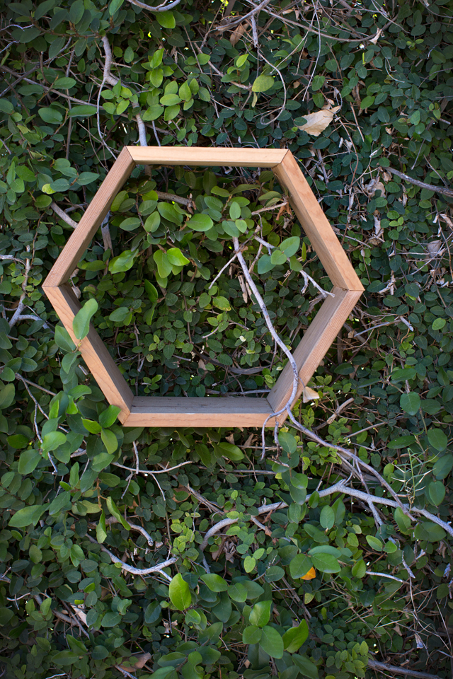 Luckey Bee Hexagon Box