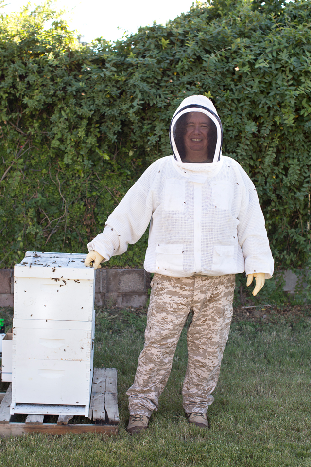 Ernie the Bee Man Bee Swarm Relocation