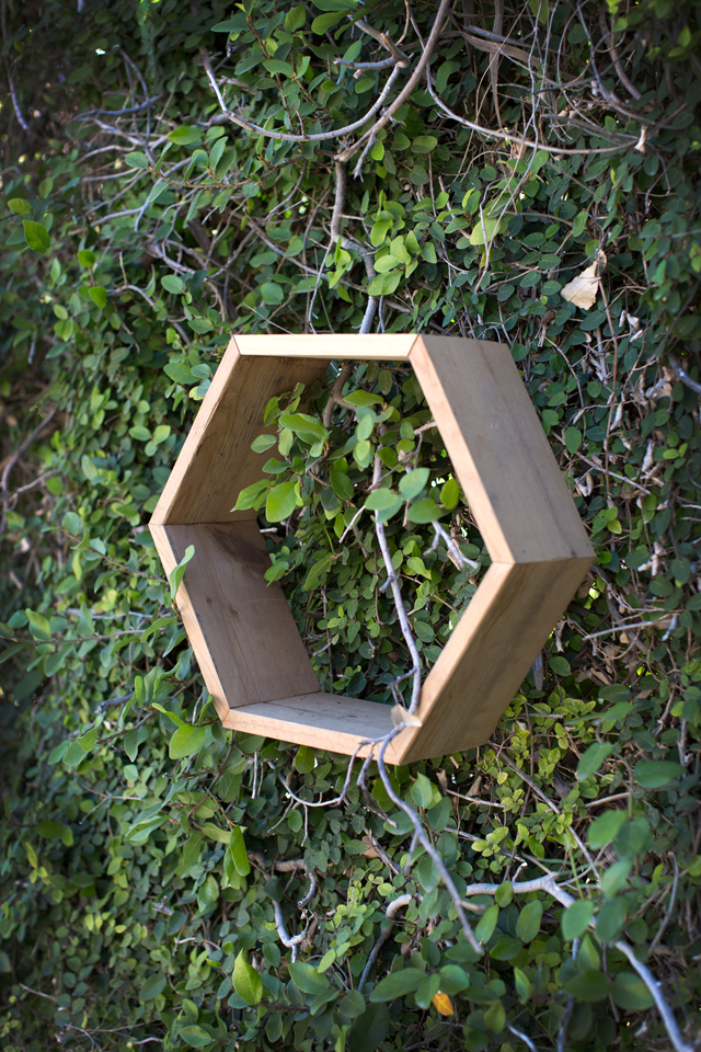 Luckey Bee Hexagon Box